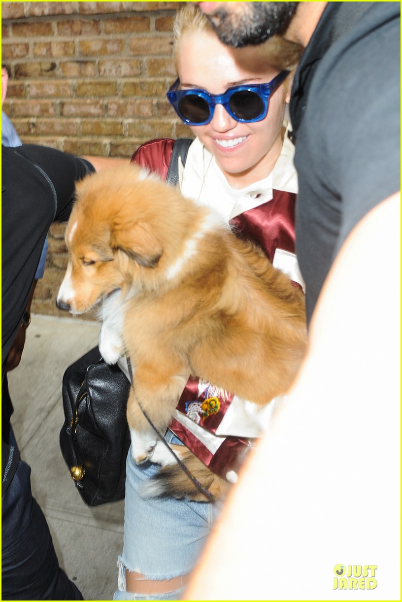 miley cyrus smiles wide with puppy moonie 07